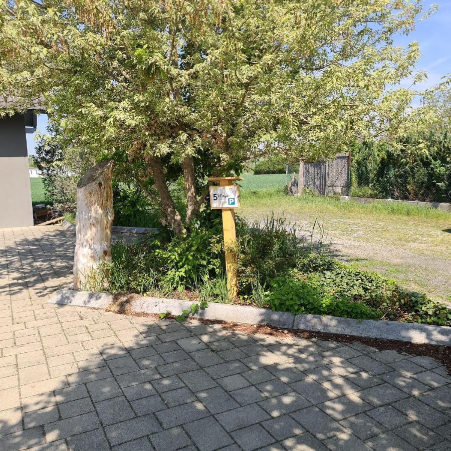 Wolfis Appartement Neusiedl an der Zaya Exterior photo